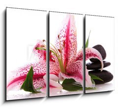 Obraz 3D tdln - 105 x 70 cm F_BB34989427 - Steine,Lilium