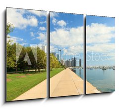 Obraz   Lake Michigan lakeshore trail in Chicago, 105 x 70 cm