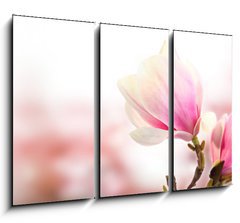 Obraz 3D tdln - 105 x 70 cm F_BB35301242 - pink flower