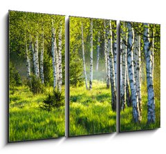 Obraz 3D tdln - 105 x 70 cm F_BB353870391 - Spring green foliage