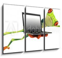 Obraz 3D tdln - 105 x 70 cm F_BB35627337 - Grenouille