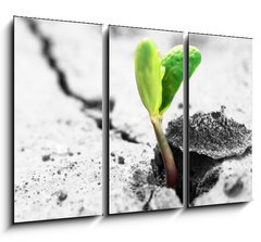 Obraz 3D tdln - 105 x 70 cm F_BB35776421 - new life - nov ivot