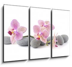 Obraz   Still life with pink orchid with gray stones, 105 x 70 cm