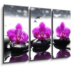 Obraz   Three zen stones and three orchids with reflection, 105 x 70 cm