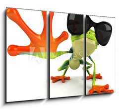 Obraz 3D tdln - 105 x 70 cm F_BB35896989 - Grenouille