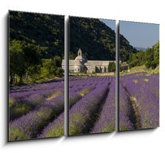 Obraz 3D tdln - 105 x 70 cm F_BB36106539 - Abbaye de Senanque