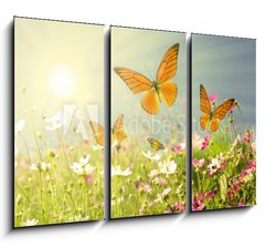 Obraz   summer flowers, 105 x 70 cm