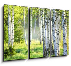 Obraz 3D tdln - 105 x 70 cm F_BB363600583 - Spring green foliage