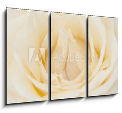 Obraz 3D tdln - 105 x 70 cm F_BB36659824 - Rosenbl te