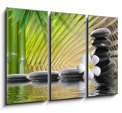 Obraz 3D tdln - 105 x 70 cm F_BB36716106 - spa stones,bamboo  with frangipani - lzesk kameny, bambus s frangipani