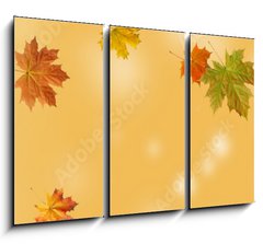 Obraz 3D tdln - 105 x 70 cm F_BB370583314 - autumn maple leaf