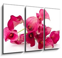 Obraz 3D tdln - 105 x 70 cm F_BB37226915 - Red Flower Calla