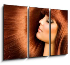 Obraz 3D tdln - 105 x 70 cm F_BB37372485 - Healthy Hair - Zdrav vlasy