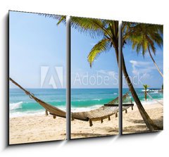 Obraz 3D tdln - 105 x 70 cm F_BB37401559 - Under the palms