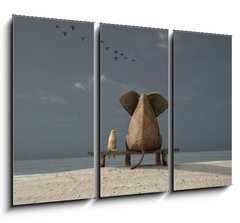 Obraz 3D tdln - 105 x 70 cm F_BB37592738 - elephant and dog sit on a beach