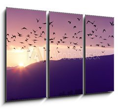 Obraz 3D tdln - 105 x 70 cm F_BB37700640 - Flock of Birds Flying at the Sunset above Mountian at the sunset