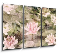 Obraz   Water Lily, 105 x 70 cm