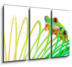 Obraz 3D tdln - 105 x 70 cm F_BB38488901 - Colorful Frog on a spring, coil toy - Barevn ba na jae, cvka hraku