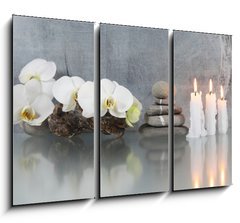 Obraz   Stilleben, Orchidee mit Kerzen, 105 x 70 cm