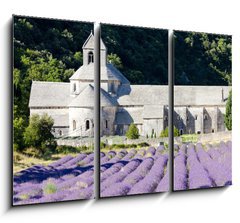 Obraz 3D tdln - 105 x 70 cm F_BB38511618 - Senanque abbey with lavender field, Provence, France - Senanque opatstv s levandulem pole, Provence, Francie