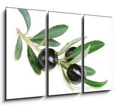Obraz 3D tdln - 105 x 70 cm F_BB38821931 - Olives over white - Olivy na bl