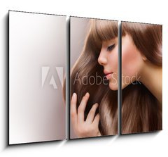 Obraz 3D tdln - 105 x 70 cm F_BB38900554 - Blond Hair. Beautiful Woman with Straight Long Hair - Blonat vlasy. Krsn ena s rovnmi dlouhmi vlasy