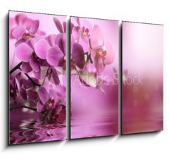 Obraz 3D tdln - 105 x 70 cm F_BB39704074 - Orchid flowers composition