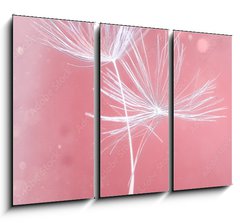 Obraz 3D tdln - 105 x 70 cm F_BB399541072 - Dandelion parachutes macro shooting