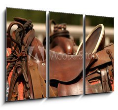 Obraz 3D tdln - 105 x 70 cm F_BB400196 - saddle gear
