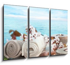 Obraz 3D tdln - 105 x 70 cm F_BB40232048 - Natural spa setting