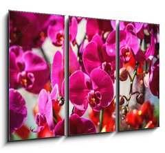 Obraz 3D tdln - 105 x 70 cm F_BB404163795 - Close