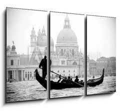 Obraz 3D tdln - 105 x 70 cm F_BB40706071 - Venice