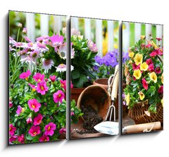 Obraz 3D tdln - 105 x 70 cm F_BB40763904 - Garten - zahradn