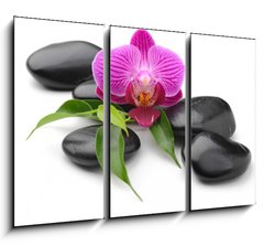 Obraz 3D tdln - 105 x 70 cm F_BB40893585 - orchid