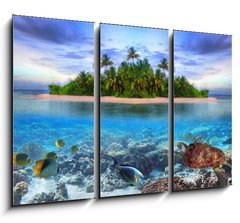 Obraz 3D tdln - 105 x 70 cm F_BB40914644 - Marine life at tropical island of Maldives