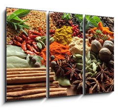 Obraz 3D tdln - 105 x 70 cm F_BB41495761 - Herbs and spices. - Bylinky a koen.