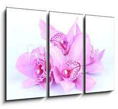 Obraz 3D tdln - 105 x 70 cm F_BB41582656 - beautiful pink orchid against blue background