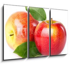 Obraz 3D tdln - 105 x 70 cm F_BB41817588 - Fresh apples - erstv jablka