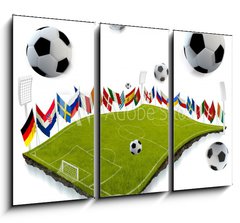 Obraz 3D tdln - 105 x 70 cm F_BB41861449 - Soccer championship - Fotbalov ampiont
