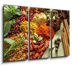 Obraz 3D tdln - 105 x 70 cm F_BB42017761 - Spices and herbs