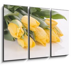 Obraz 3D tdln - 105 x 70 cm F_BB42120397 - Spring tulips isolated on white