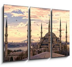 Obraz 3D tdln - 105 x 70 cm F_BB42142890 - The Blue Mosque, Istanbul, Turkey.