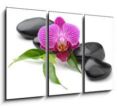 Obraz 3D tdln - 105 x 70 cm F_BB42149939 - orchid - orchidej