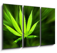 Obraz 3D tdln - 105 x 70 cm F_BB42226543 - Marijuana background