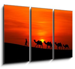 Obraz   camel caravan sillhouette with sunset, 105 x 70 cm