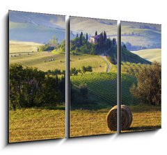 Obraz 3D tdln - 105 x 70 cm F_BB42858782 - Paesaggio toscano. Podere, campo di grano