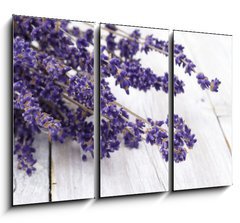 Obraz 3D tdln - 105 x 70 cm F_BB42892060 - Lavendel