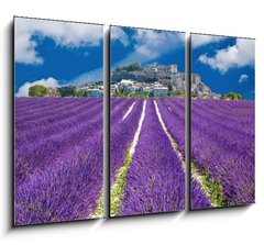 Obraz 3D tdln - 105 x 70 cm F_BB43444999 - Lavande en Provence, village proven al en France