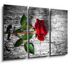 Obraz 3D tdln - 105 x 70 cm F_BB43494940 - rosa rossa su fondo b/n