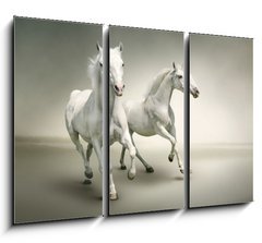 Obraz   White horses, 105 x 70 cm